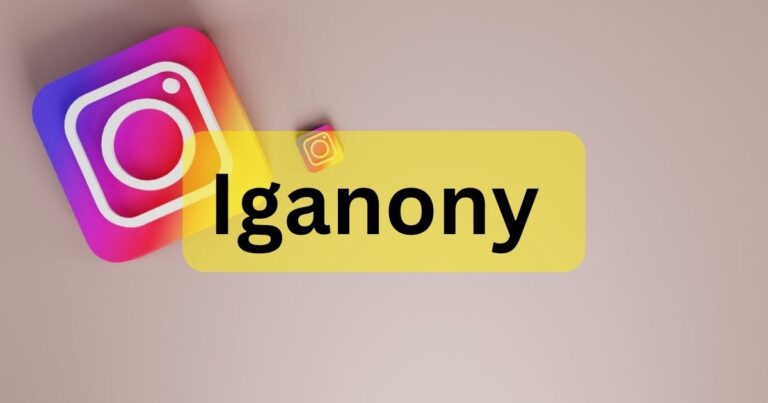 The Best Instagram Story Viewing Tool in 2024 is IgAnony