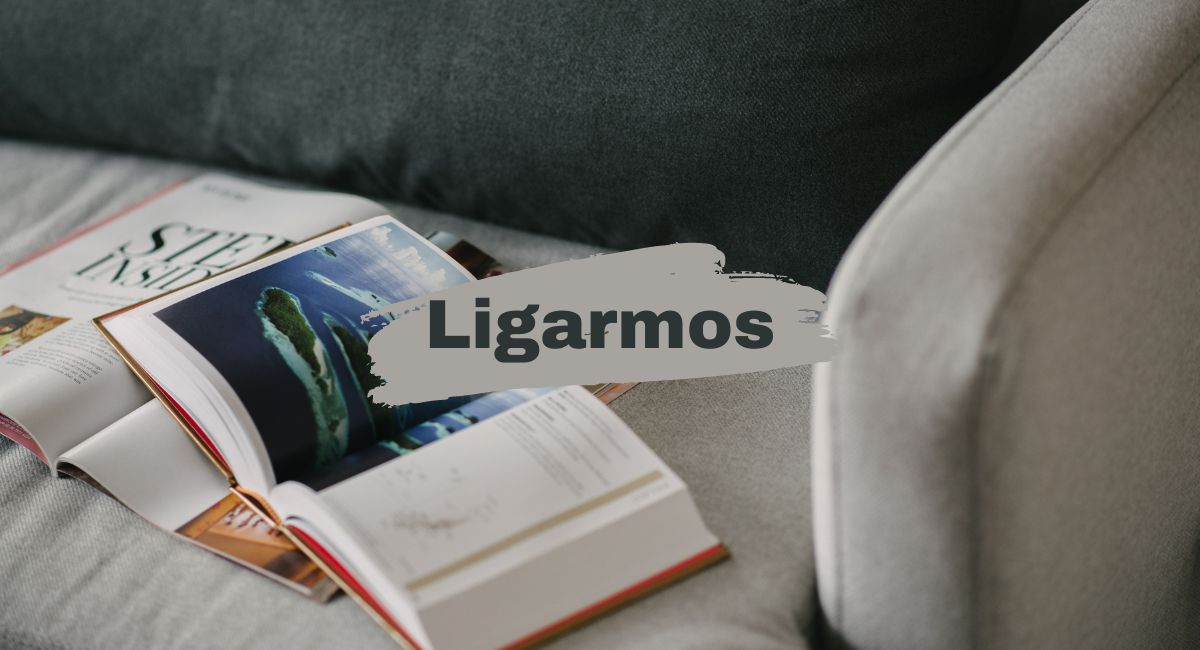 Ligarmos: A Guide to Changing Lifestyle in the Digital Age